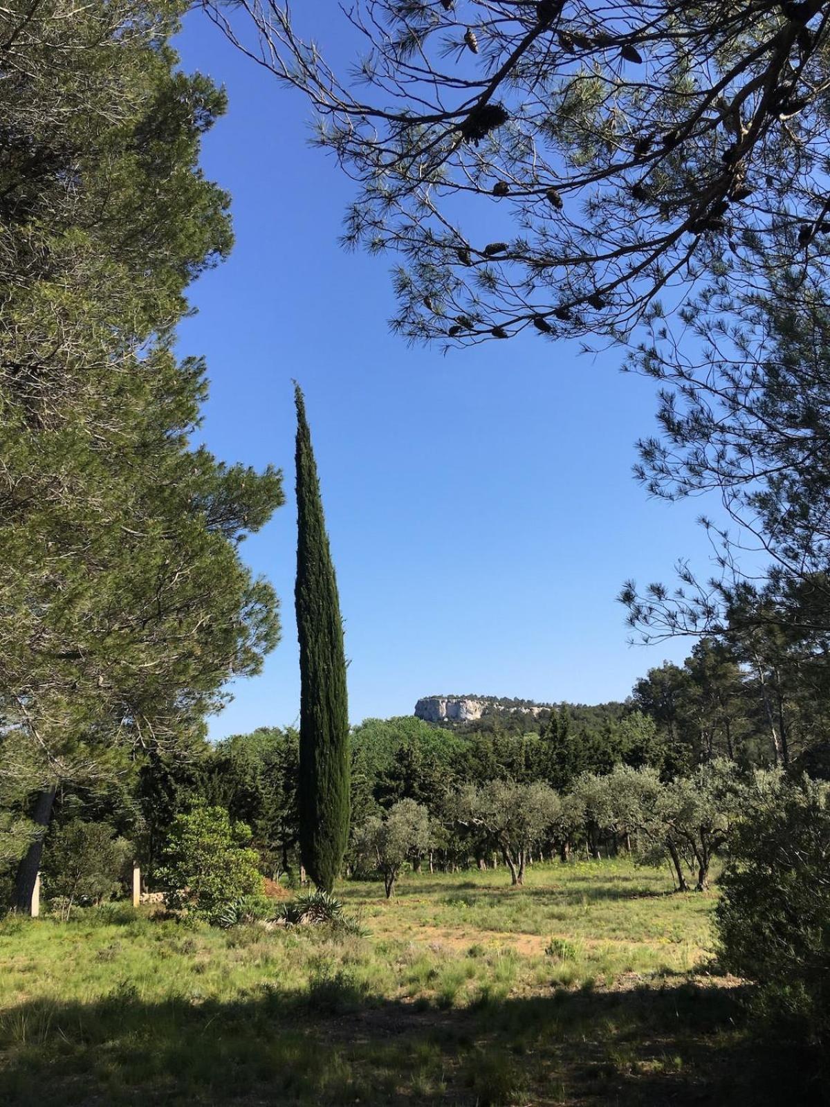 Cabane De La Leque Fontvieille Exterior foto